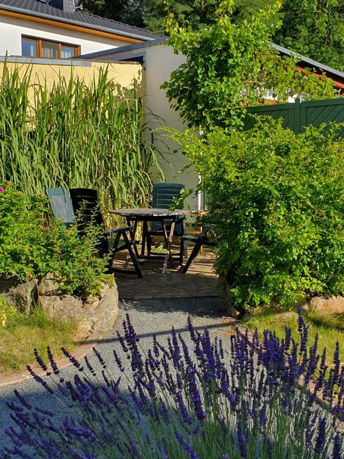 Ferienwohnung Paul Zinnowitz Exteriör bild