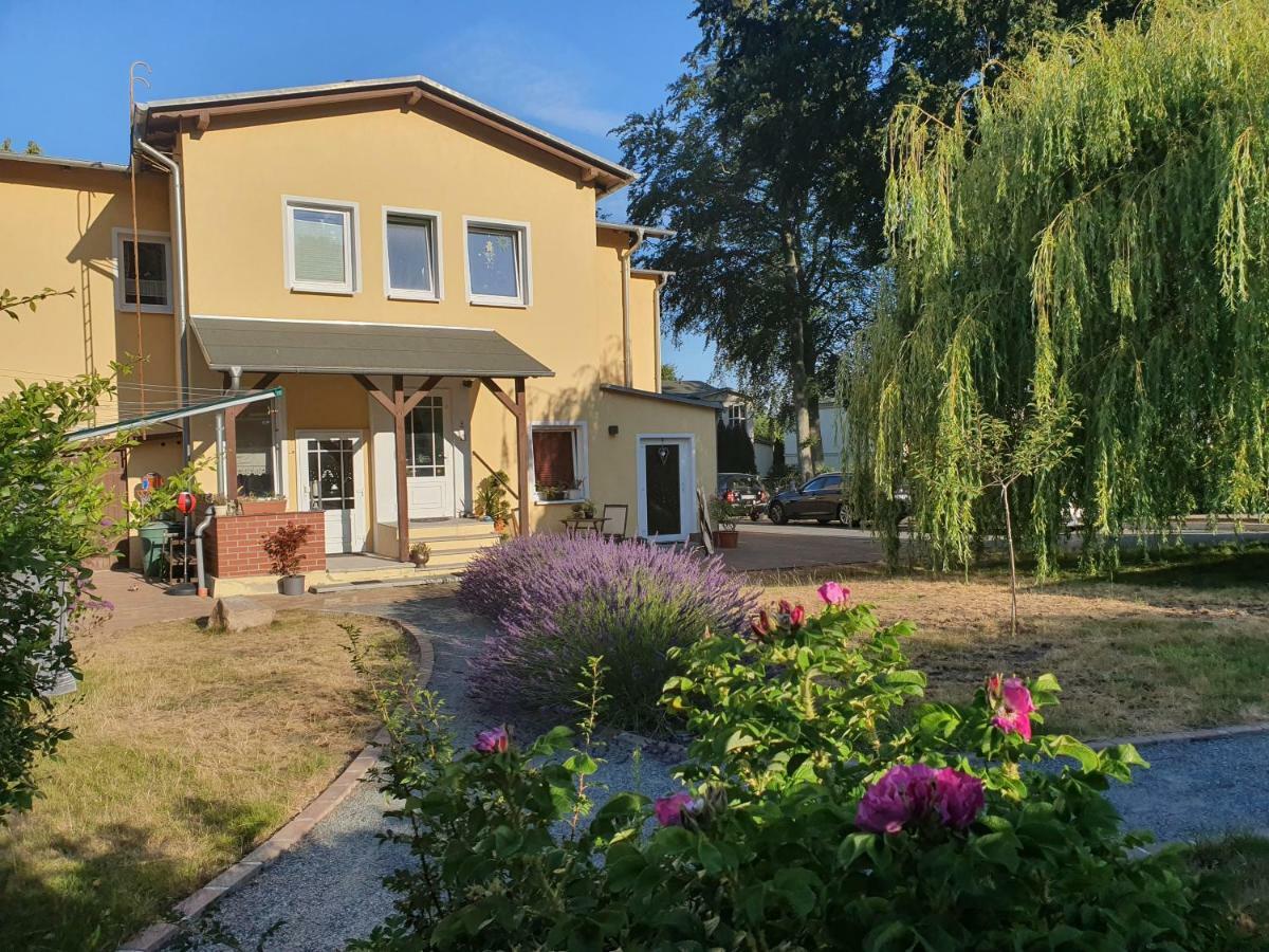Ferienwohnung Paul Zinnowitz Exteriör bild